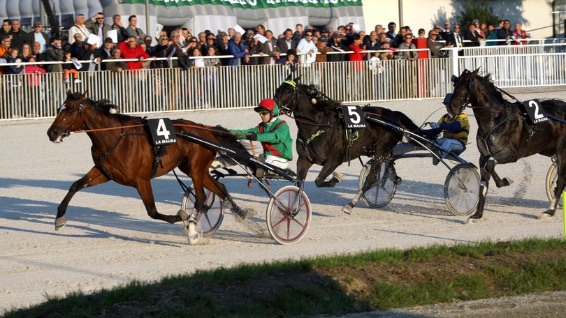 Ippica, Charly du Noyer padrone nel Mangelli