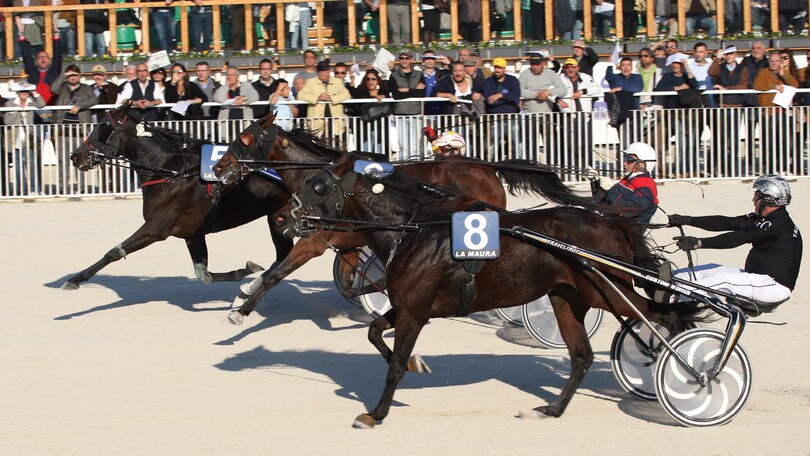 Ippica, Talisker Horse nel Mangelli Filly