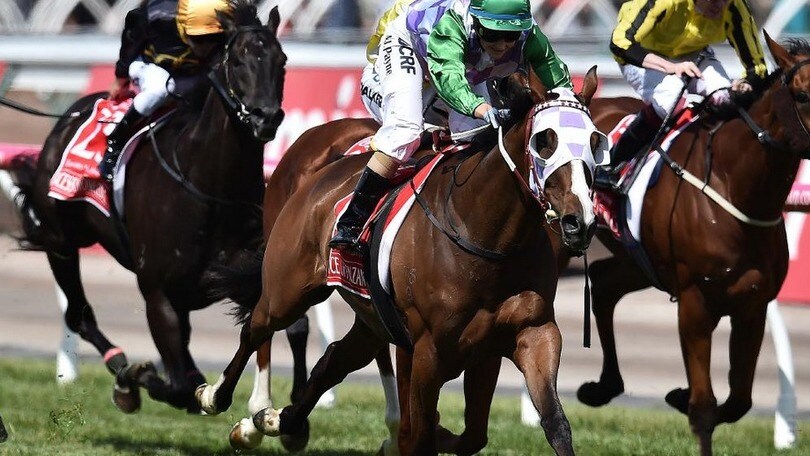 Ippica, Melbourne Cup sbancata dalla Payne
