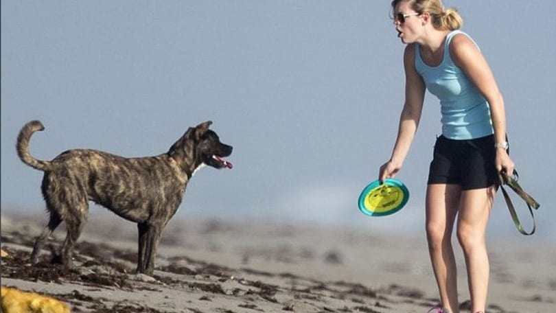 Sci: Vonn, mano ferita per separare i suoi cani