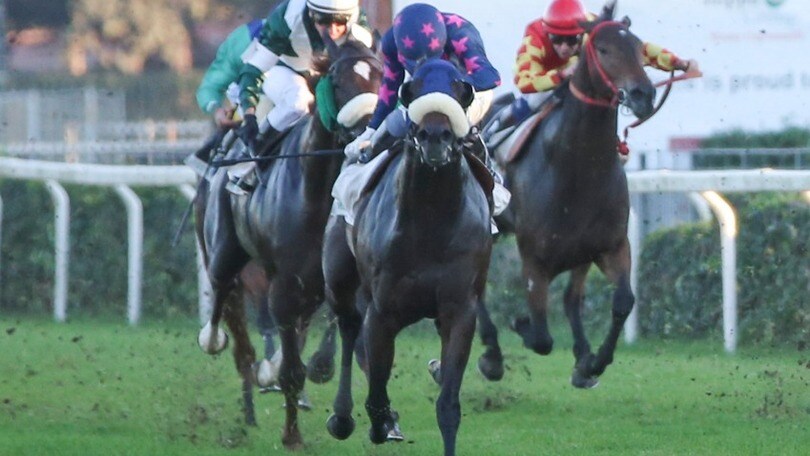 Ippica, a Capannelle tutti GP al fotofinish