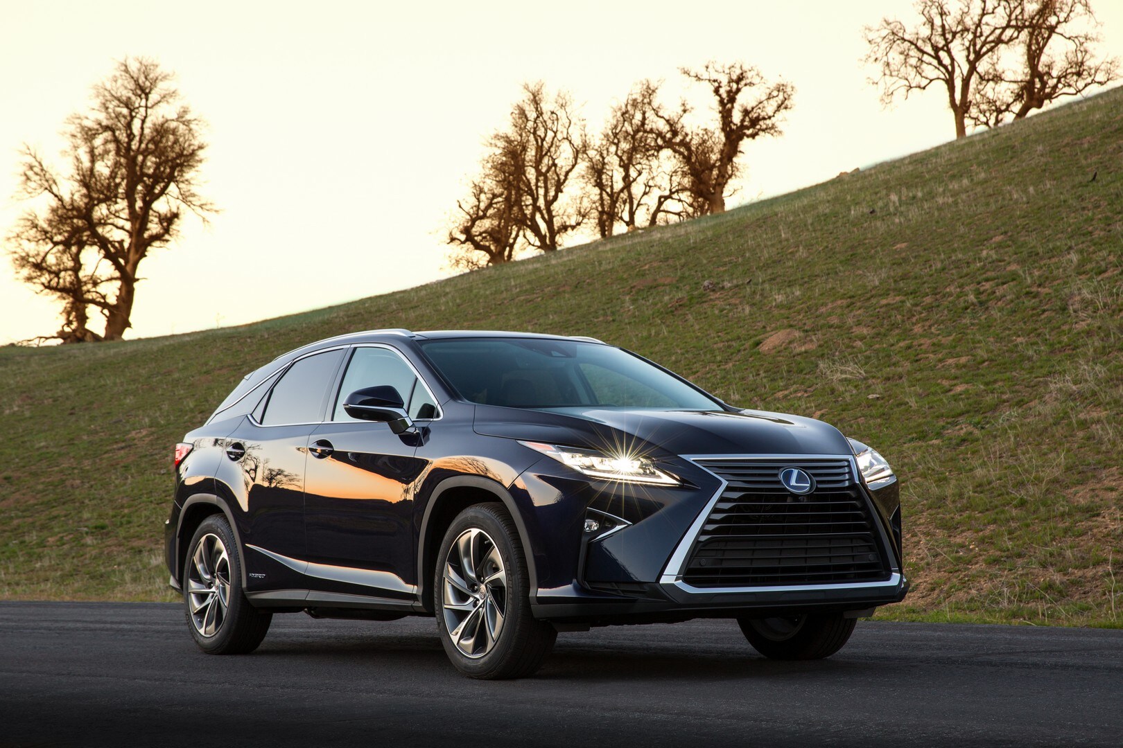 Lexus RX 450h, foto e prezzi del nuovo SUV ibrido