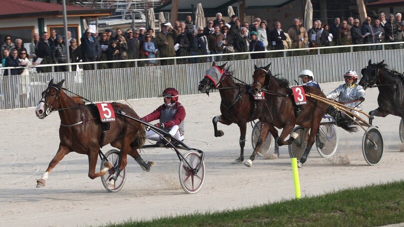 Ippica, Demonia Roma nel Gran Criterium
