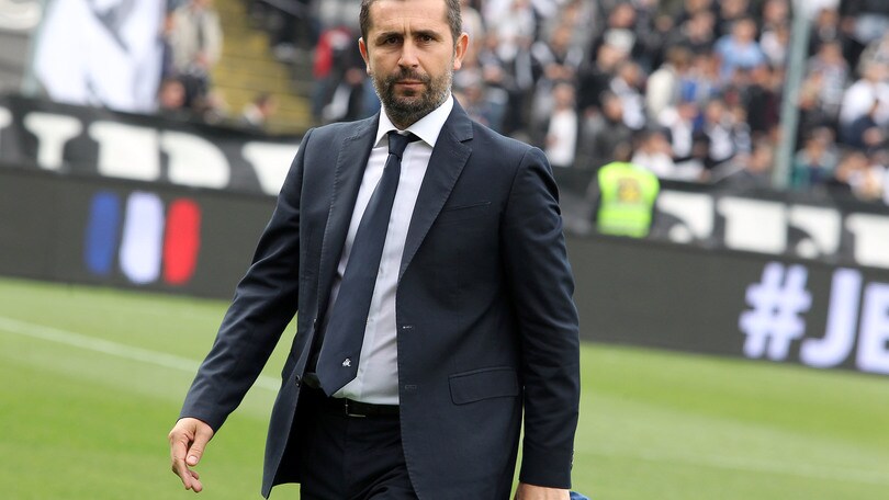 Serie B Spezia, via Bjelica: esonerato il tecnico