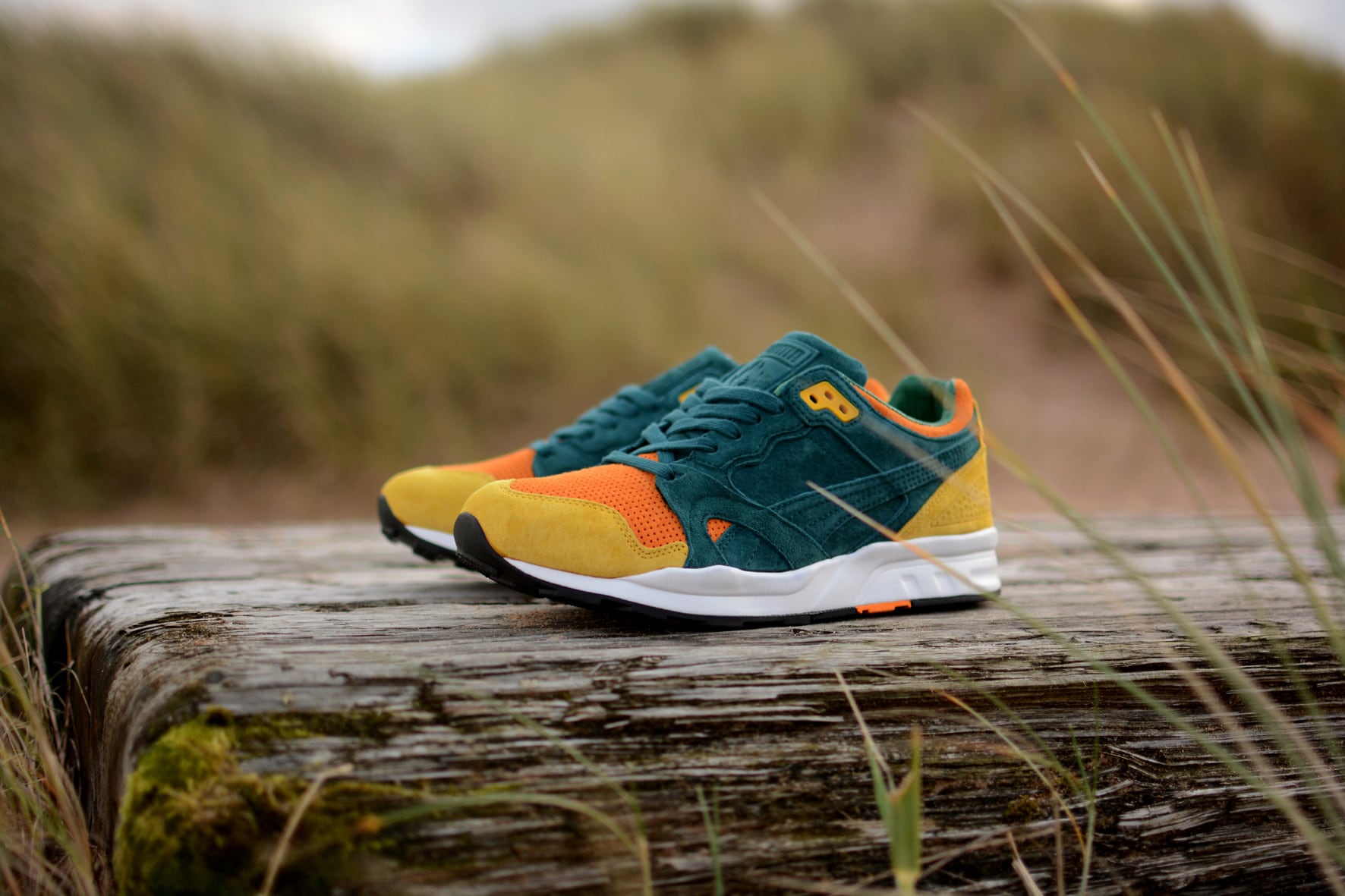 Puma. Ultimo capitolo dell' Adventurer Pack