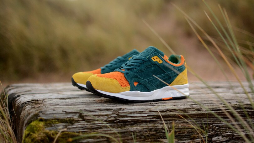 Puma. Ultimo capitolo dell' Adventurer Pack