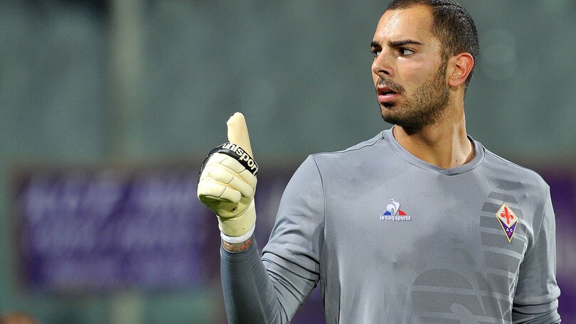 Calciomercato Palermo, spunta Sepe per la porta