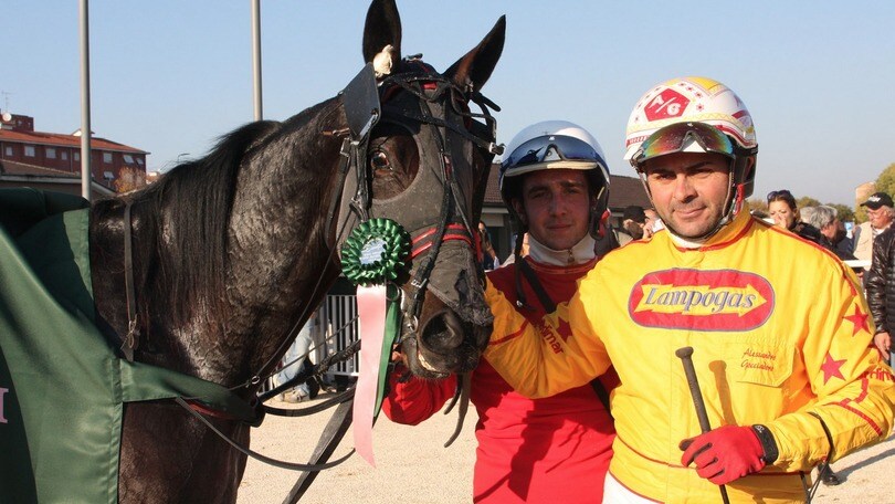 Ippica, Talisker Horse domenica a Trieste