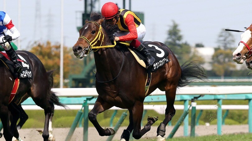 Ippica, anche Demuro nella Japan Cup