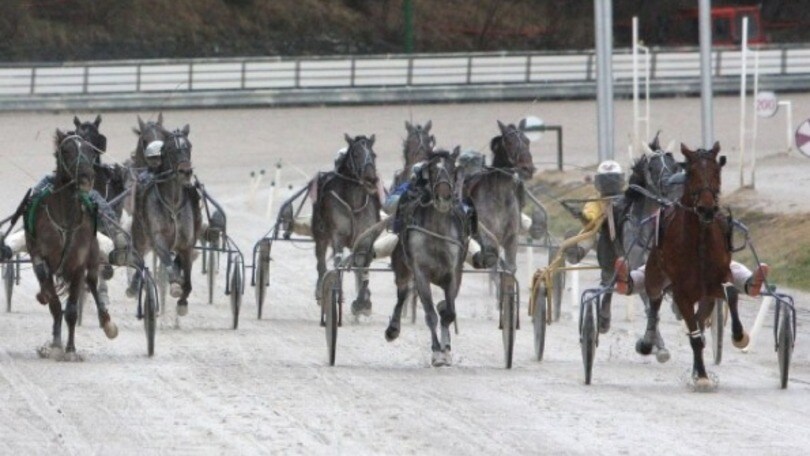 Ippica, a Trieste due ritiri eccellenti