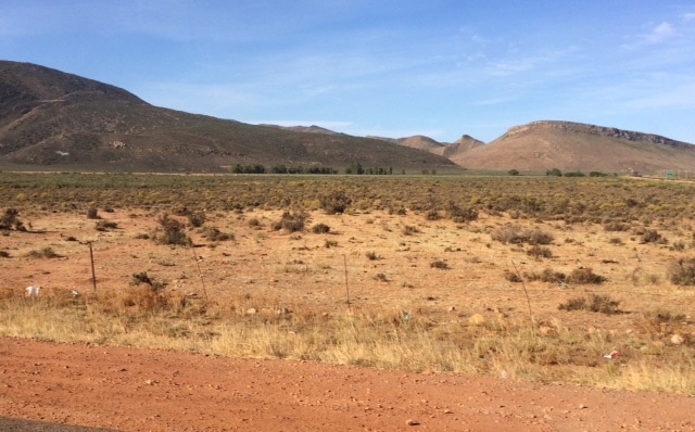 Speciale Honda Africa Twin: tra le antilopi di Mandela