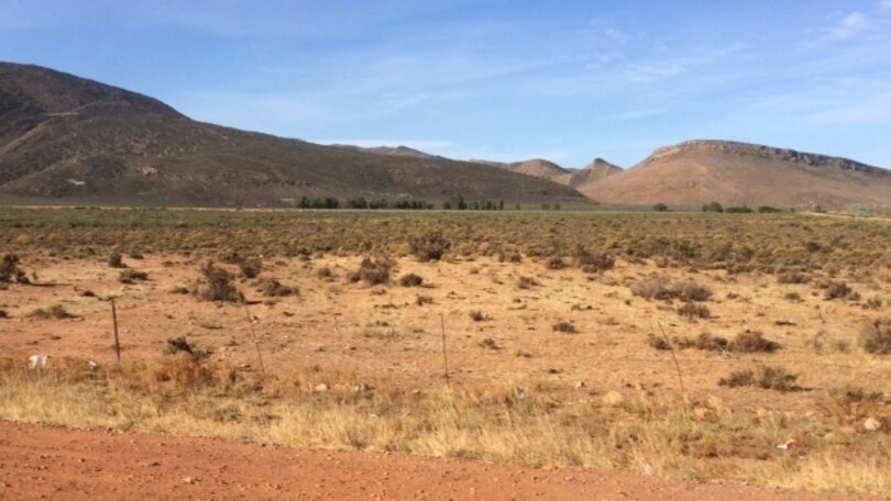 Speciale Honda Africa Twin: tra le antilopi di Mandela
