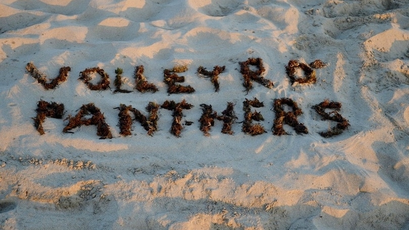 Volley: Col Volleyrò ruggiscono le Panthers