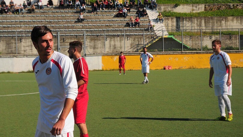 Lupa Frascati, De Nigris: «Migliorare in concretezza»