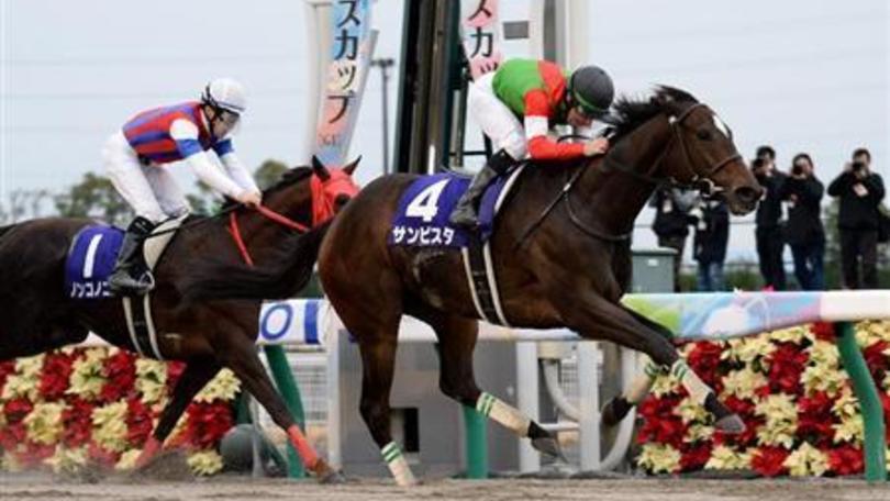 Ippica, “Demuro San” sbanca la Champions Cup