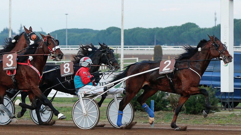 Ippica, a Capannelle vince sempre e solo Sugar Rey