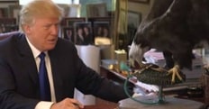 Trump in posa con l'aquila ma lei lo attacca