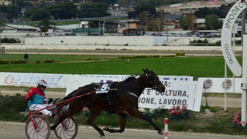 Ippica, nel Royal Mares vittoria di (pre)Potenza