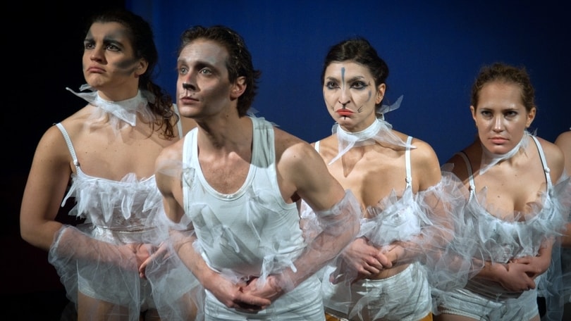 La fiaba de "La Gabbianella e il Gatto" a teatro