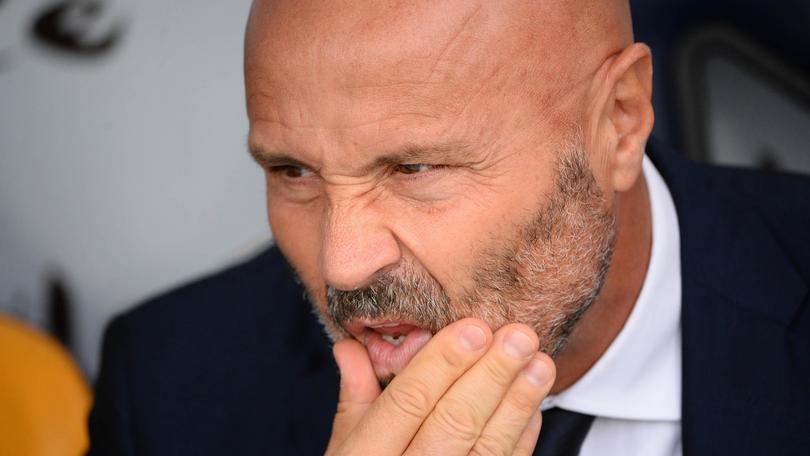 Serie A Udinese, Colantuono: «Torino solido: la nostra classifica bugiarda»