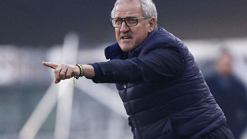 Serie A Verona, Del Neri: «Non ci salveremo in un lampo»