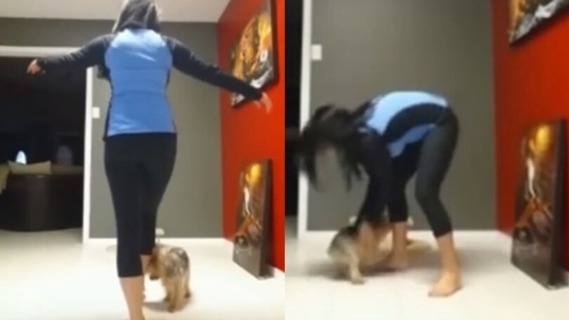 Fa la verticale in casa e... il cagnolino decolla!