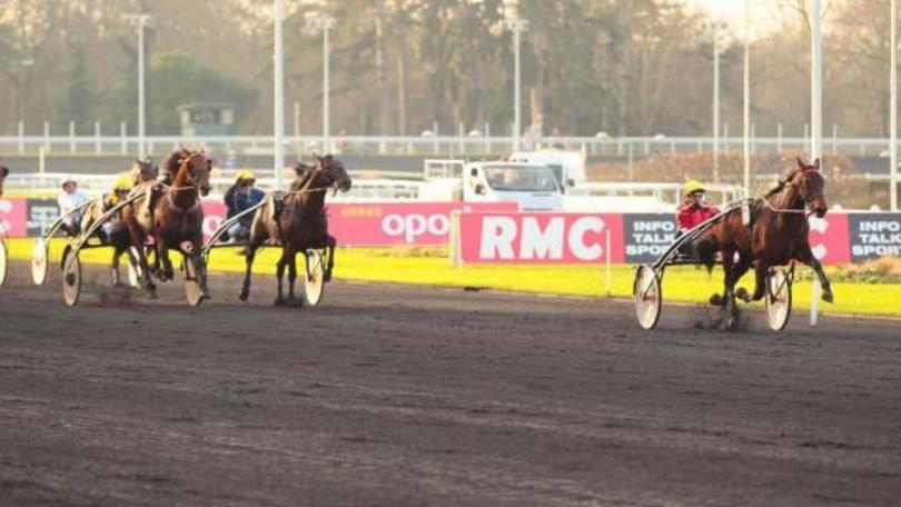 Ippica, Specialess valletto di Bold Eagle a Vincennes