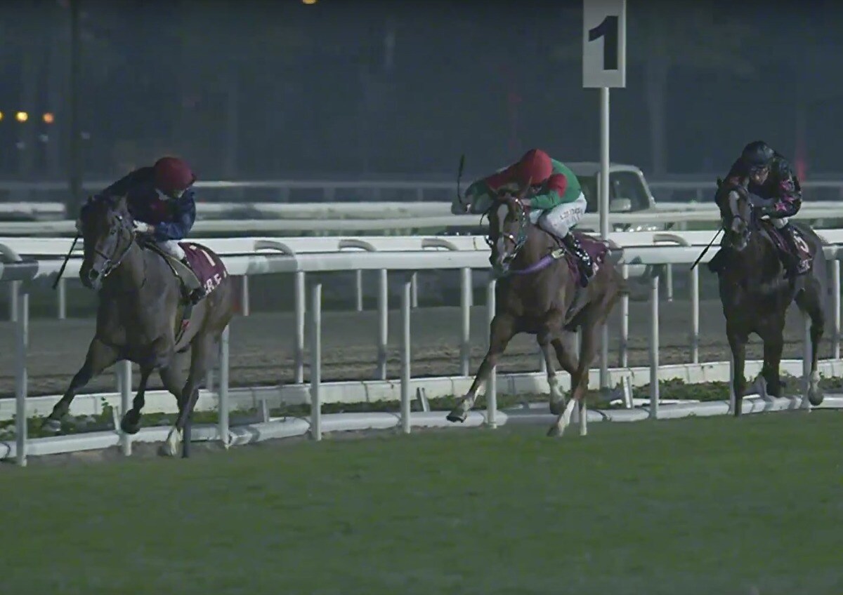 Ippica, in Qatar le Oaks sono italiane