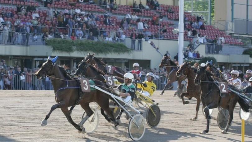Ippica, primo TQQ del 2016 alle 18 e con 12 partenti