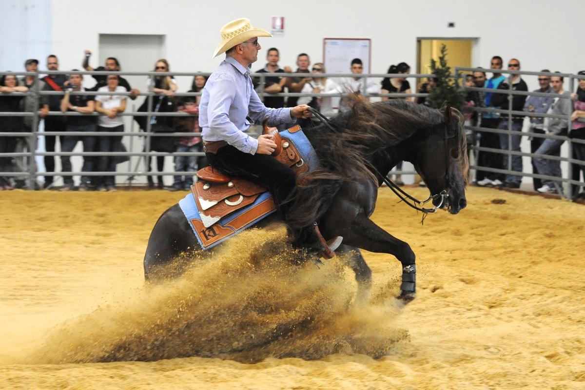 Cavalli a Roma, torna il salone sull'equitazione