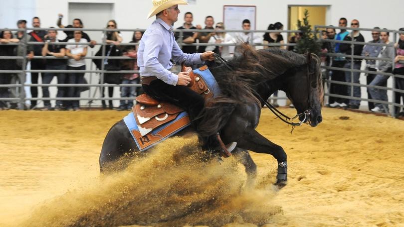 Cavalli a Roma, torna il salone sull'equitazione