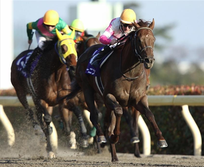 Ippica, “Demuro San” sigla le February Stakes