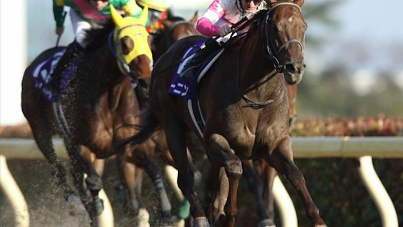 Ippica, “Demuro San” sigla le February Stakes