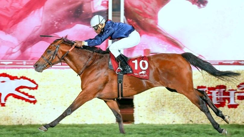 Ippica, finita la stagione 2015-2016 in Qatar