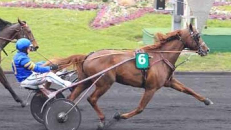 Ippica, Lionel batte Bold Eagle nel Paris