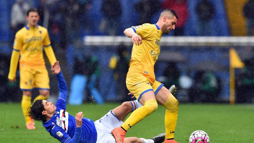Serie A Frosinone, Rosi: «L'Udinese non è l'ultima spiaggia»