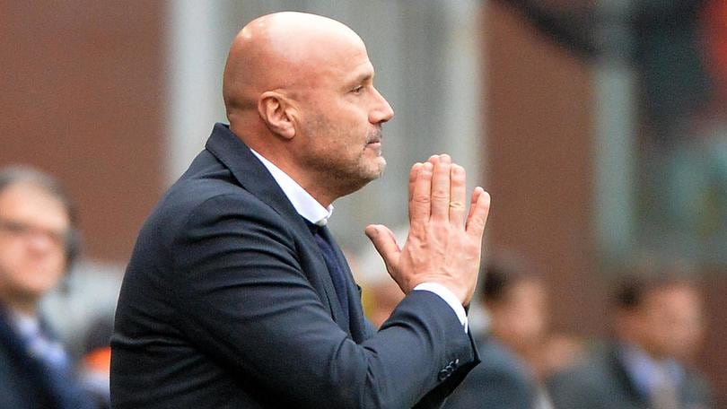 Serie A Udinese, Colantuono: «Voglio una grande prestazione»