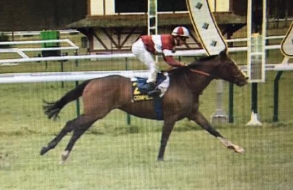 Ippica, doppietta per Demuro jr e Bietolini