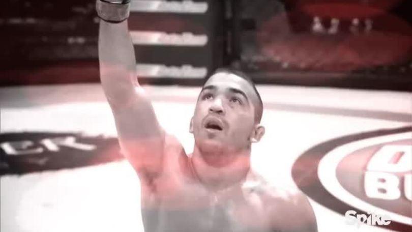 Fighting: Sale la febbre per Oktagon e Bellator
