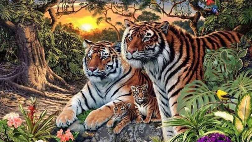 Caccia alla tigre. E' il rompicapo del momento sul web