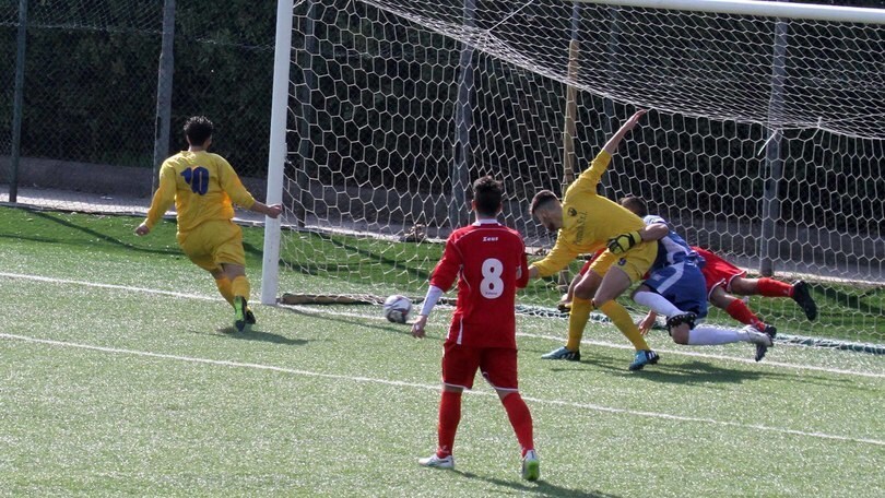 Monterosi, D'Antoni: «Occhio all'Atletico Vescovio»