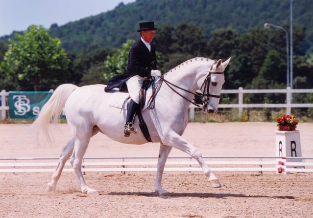 Equitazione in lutto per Puccini