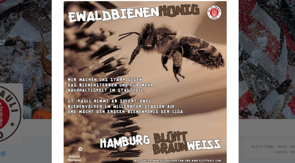 Il miele del St. Pauli con le api allo stadio