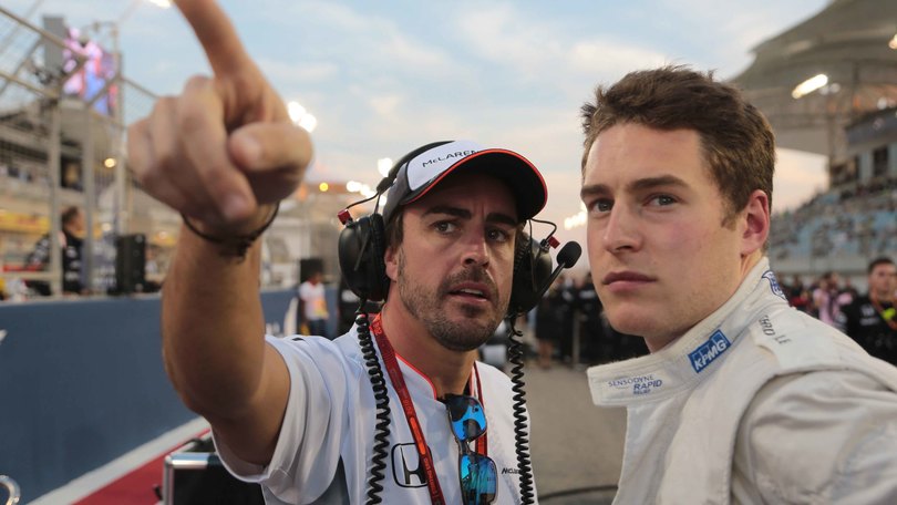 F1, Vandoorne deciso: «Merito un posto da titolare»