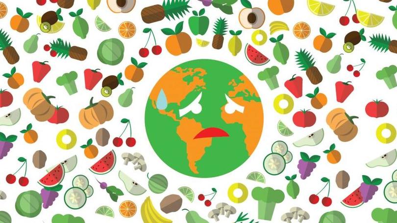 Ma quanto cibo sprechiamo? I consigli per rimediare