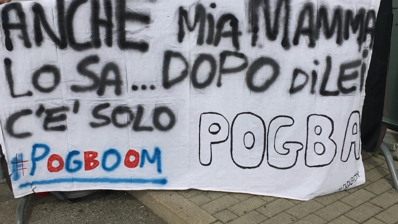Pogboom non si vende