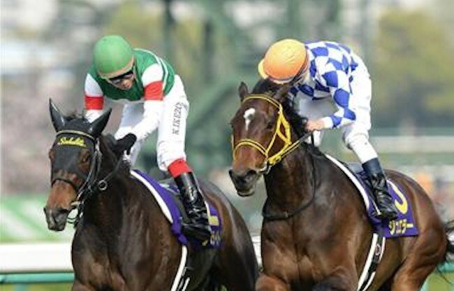 Ippica, Demuro brilla con Jewelry