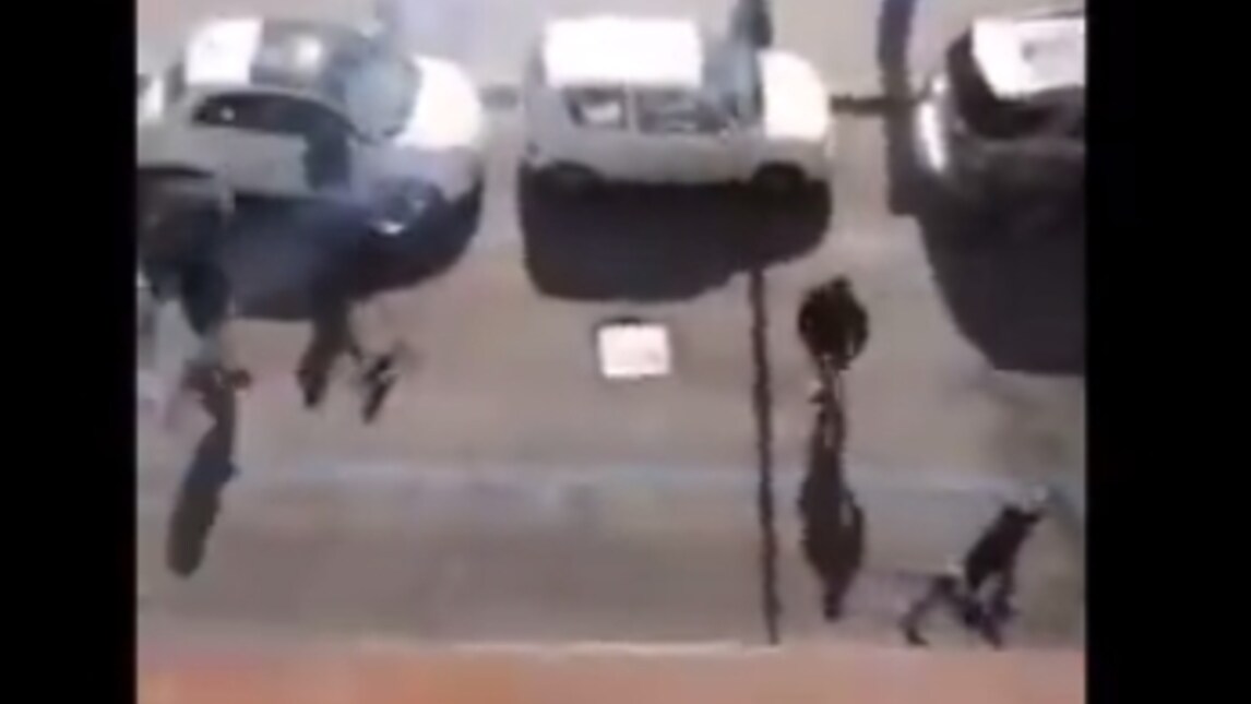 Palermo-Lazio, scontri tra tifosi prima della partita