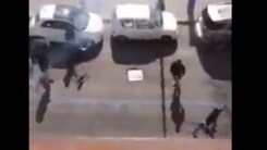 Palermo-Lazio, scontri tra tifosi prima della partita