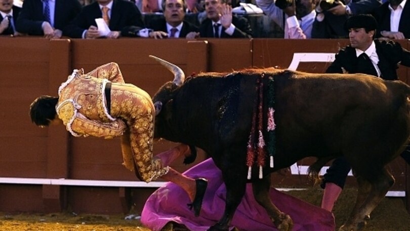 Torero incornato durante la corrida a Siviglia